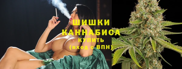 прущие крисы Мегион