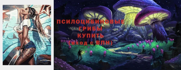 прущие крисы Мегион